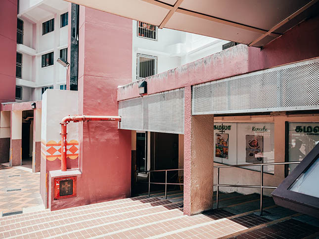 <em>Photo by Rebecca Toh</em>